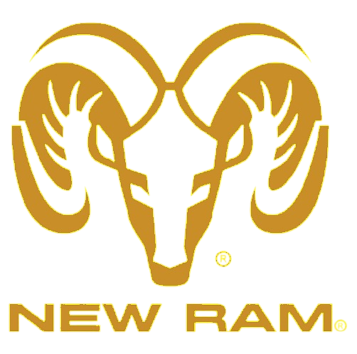 NEW RAM